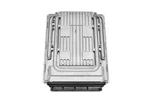 MSD85.1/MSD85.3	BMW ECM Cloning Service