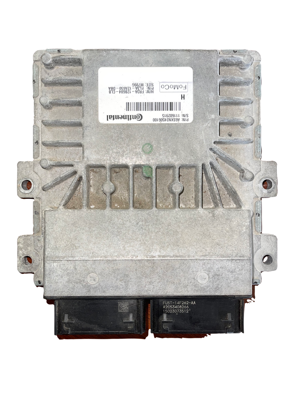 5.0L Coyote Swap Ford PATS Delete Service 2015 - 2017