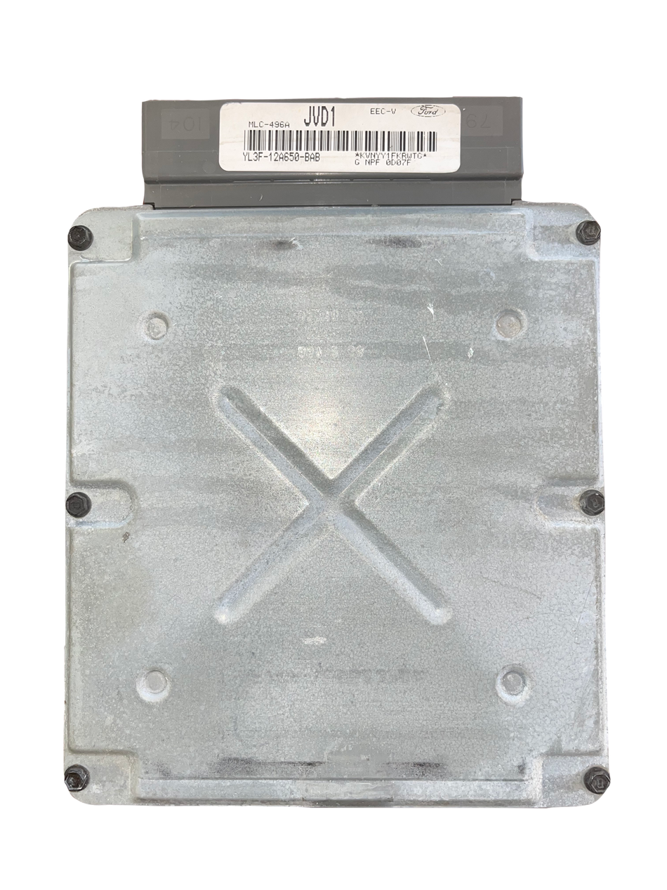 Ford PATS Delete Service 1996 - 2004 EEC V